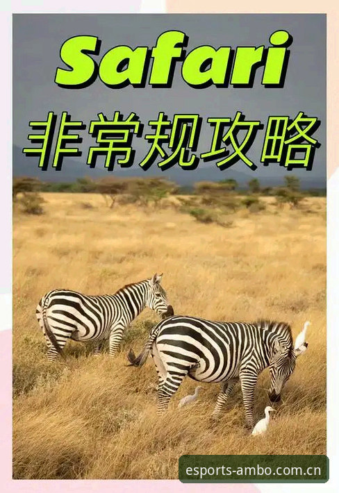 安博电竞平台数据赛事避坑指南：老玩家教你读懂AMBO数据赛事的门道